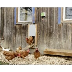 Porte De Poulailler Automatique Coulissante - 300 X 400 Mm Kerbl 7 Porte De Poulailler Automatique Coulissante - 300 X 400 Mm Kerbl -Clôture électrique Soldes Boutique 11194148 3