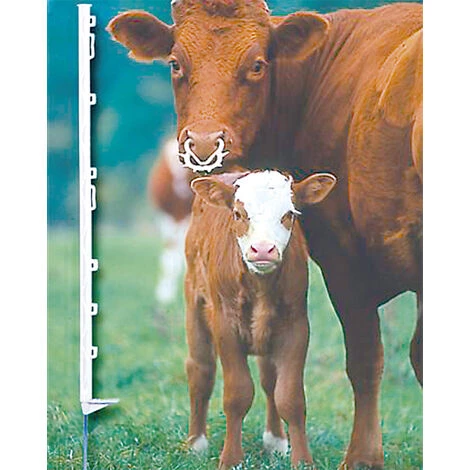 Poteau De Clôture électrique, Blanc, 105 Cm, 20 Pièces AKO 1 Poteau De Clôture électrique, Blanc, 105 Cm, 20 Pièces AKO