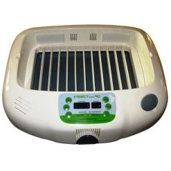 G�N�RIQUE Couveuse D'abeilles "Insect 90", 50 X 40 X 16 Cm