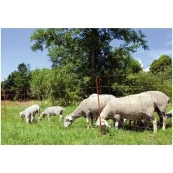 KERBL Filet Mouton - Ovinet électrifiable - 14 Piquets - Hauteur 90cm - Longueur 50m