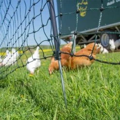 HORIZONT Filet Volaille électrifiable 50m, H 1.2m - Vert -Clôture électrique Soldes Boutique 31049070 3