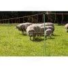 Filet Cloture Electrique Mouton - Gallagher - 90cm