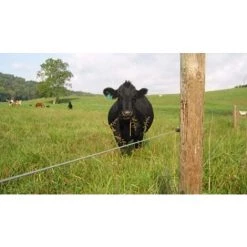 LangRay 50 Pcs Isolateurs Annulaires à Visser Anneau à Isolant à Vis Accessoires De Clôture Électrique Pour Poteau Piquet En Bois, Noir 8 LangRay 50 Pcs Isolateurs Annulaires à Visser Anneau à Isolant à Vis Accessoires De Clôture Électrique Pour Poteau Piquet En Bois, Noir -Clôture électrique Soldes Boutique 66411259 4