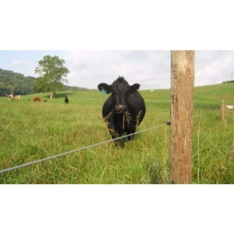 LangRay 50 Pcs Isolateurs Annulaires à Visser Anneau à Isolant à Vis Accessoires De Clôture Électrique Pour Poteau Piquet En Bois, Noir 4 LangRay 50 Pcs Isolateurs Annulaires à Visser Anneau à Isolant à Vis Accessoires De Clôture Électrique Pour Poteau Piquet En Bois, Noir – Image 4